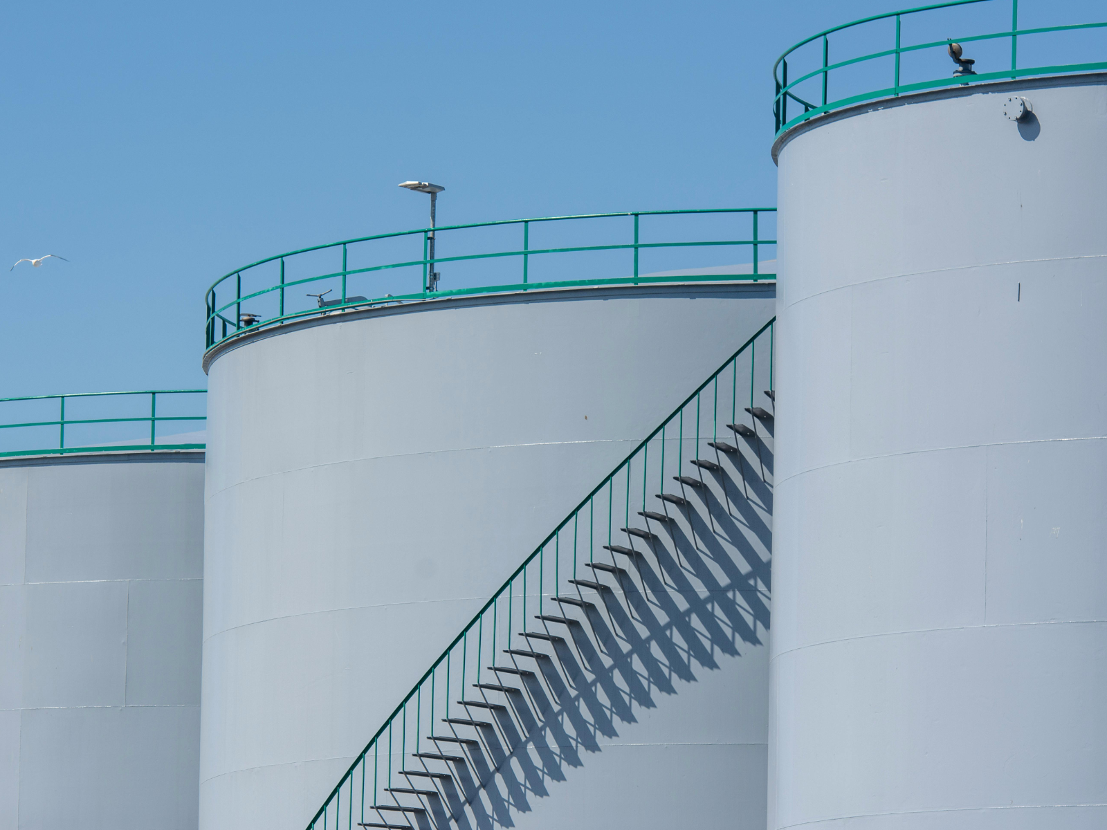 Project Management 7